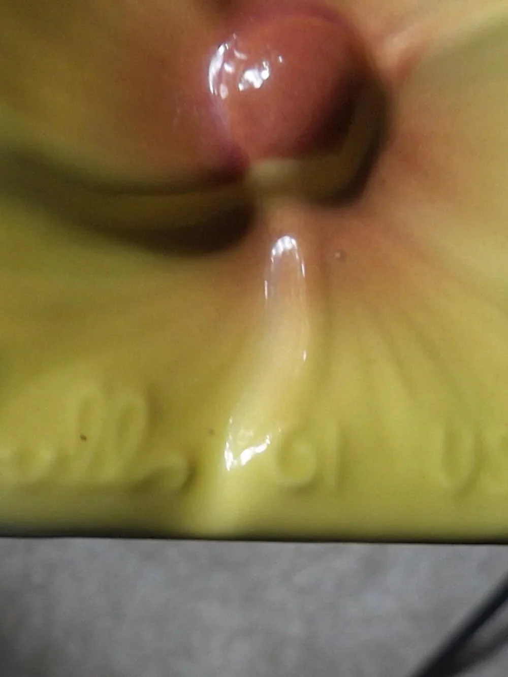 1950s Hull Pottery Ceramic Pheasant Planter #61 Marked